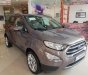 Ford EcoSport Titanium 2018 - Bán xe Ecosport 2018 hoàn toàn mới