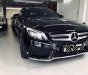 Mercedes-Benz C class C300 AMG 2016 - Bán xe Mercedes C300AMG 2016