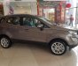 Ford EcoSport Titanium 2018 - Bán xe Ecosport 2018 hoàn toàn mới