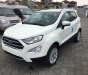 Ford EcoSport 2018 - Cần bán xe Ford EcoSport đời 2018, màu trắng