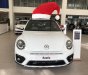 Volkswagen Beetle Dune 2018 - Bán ô tô Volkswagen Beetle Dune năm 2018, xe nhập chính hãng, xe mới giao ngay. LH 0931 878 379