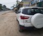 Ford EcoSport 2014 - Bán xe Ford EcoSport năm 2014, màu trắng số tự động