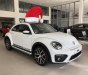 Volkswagen Beetle Dune 2018 - Bán ô tô Volkswagen Beetle Dune năm 2018, xe nhập chính hãng, xe mới giao ngay. LH 0931 878 379