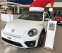 Volkswagen Beetle Dune 2018 - Bán ô tô Volkswagen Beetle Dune năm 2018, xe nhập chính hãng, xe mới giao ngay. LH 0931 878 379