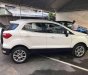 Ford EcoSport 2018 - Cần bán xe Ford EcoSport đời 2018, màu trắng