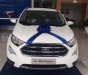 Ford EcoSport 2018 - Cần bán xe Ford EcoSport đời 2018, màu trắng
