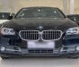 BMW 5 Series 520i 2014 - BMW 5 Series 520I 2015, màu đen huyền bí