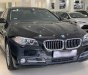 BMW 5 Series 520i 2014 - BMW 5 Series 520I 2015, màu đen huyền bí