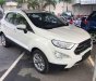 Ford EcoSport 2018 - Cần bán xe Ford EcoSport đời 2018, màu trắng