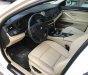 BMW 5 Series 520i 2012 - Cần bán BMW 520i form 2013 một chủ mua mới từ đầu, cam kết hoàn toàn về chất lượng xe