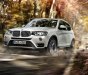 BMW X3 xDrive20i 2017 - Bán BMW X3 xDrive20i năm sản xuất 2017, màu trắng, xe nhập