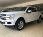 Ford F 150 Platinum 2019 - Giao ngay Ford F 150 Platinum 2019 xuất Mỹ, mới 100% 