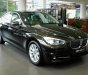 BMW 5 Series 520i GT 2017 - Bán BMW 528i GT 2017, màu Damast Red, nhập khẩu