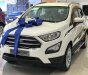 Ford EcoSport    2018 - Bán Ford EcoSport năm 2018, màu trắng, giá chỉ 613 triệu