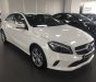 Mercedes-Benz A class A200 2017 - CŨ Mercedes-Benz A200 11/2018 CHÍNH HÃNG, ĐÃ QUA SỬ DỤNG. Siêu chạy lướt.