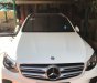 Mercedes-Benz GLC-Class 300 4Matic 2016 - Bán Mercedes GLC300 SX 2016, 16000km còn rất mới, xe chính chủ