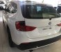 BMW X1 2010 - Bán ô tô BMW X1 2010 Tự động sản xuất 2010, 615 triệu