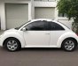 Volkswagen New Beetle   1.6AT  2009 - Bán xe Volkswagen New Beetle 1.6AT tại Bình Định