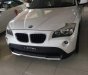 BMW X1 2010 - Bán ô tô BMW X1 2010 Tự động sản xuất 2010, 615 triệu