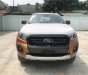 Ford Ranger Wildtrak 4x4 2018 - Bán xe Ford Ranger Wildtrak 4x4 năm 2018, nhập khẩu nguyên chiếc - LH 0989022295 tại Điện Biên