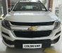 Chevrolet Colorado 2018 - Bán ô tô Chevrolet Colorado 2 cầu, full đồ, đời 2018, màu trắng, xe nhập, giá cực cạnh tranh, lăn bánh nhanh gọn