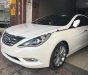 Hyundai Sonata Y20 2011 - Bán Hyundai Sonata Y20 sản xuất 2011, màu trắng, nhập khẩu  