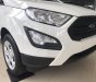 Ford EcoSport Ambiente 2018 - Bán ô tô Ford EcoSport trend năm 2018, giá 553tr, hỗ trợ trả góp 80% LH 0989022295 tại Hà Nam