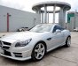 Mercedes-Benz SLK class SLK 350 2012 - Cần bán gấp Mercedes SLK 350 sản xuất 2012, màu trắng, nhập khẩu chính chủ