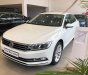 Volkswagen Passat 2018 - [VW Trần Hưng Đạo] giao ngay Passat Bluemotion đủ màu, trả trước 300 triệu lấy xe ngay, lãi suất vay thấp nhất