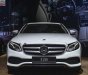 Mercedes-Benz E class E250 2018 - Bán ô tô Mercedes E250 đời 2019, màu trắng