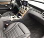 Mercedes-Benz C class 2017 - Bán Mercedes C250 năm sản xuất 2017, màu đen như mới