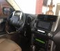 Toyota Prado 2010 - Bán Toyota Prado sản xuất năm 2010, xe nhập như mới