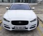 Jaguar XE 2015 - Cần bán xe Jaguar XE 2015, màu trắng, nội thất da bò, biển VIP, HN