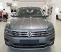 Volkswagen Tiguan Allspace 2019 - Bán Xe Volkswagen Tiguan Allspace 2019 SUV 7 chỗ xe Đức nhập khẩu chính hãng mới 100% giá rẻ, LH ngay 0933 365 188