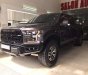 Ford F 150  Raptor  2017 - Bán ô tô Ford F 150 Raptor đời 2017, nhập khẩu