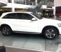 Mercedes-Benz GLC-Class 2019 - Bán xe Mercedes GLC200 2019 chiết khấu 10% duy nhất tháng 11