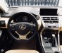 Lexus NX 300 2017 - Cần bán Lexus NX300 2018, nhập khẩu nguyên chiếc