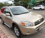 Toyota RAV4 Limited 2006 - Bán Toyota RAV4 Limited đời 2006, màu vàng, nhập khẩu giá cạnh tranh