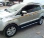 Ford EcoSport   2017 - Bán xe Ford EcoSport 2017, màu bạc còn mới, giá chỉ 495 triệu