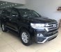 Toyota Land Cruiser VX 2016 - Bán Toyota Land Cruiser VX sản xuất 2016, đăng ký 2016, màu đen, nội thất kem