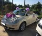 Volkswagen Beetle 2009 - Bán Volkswagen Beetle đời 2009, màu kem (be), nhập khẩu