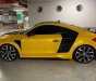 Audi TT 2009 - Cần bán xe Audi TT sản xuất 2009, màu vàng, xe nhập