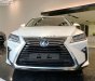 Lexus RX 300 2018 - Cần bán xe Lexus RX 300 2018, màu trắng, nhập khẩu