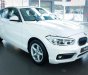 BMW 1 Series 118i 2019 - Bán ô tô BMW 1 Series 118i 2019, màu trắng, nhập khẩu