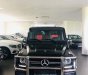 Mercedes-Benz G class  G63 AMG 2018 - Bán ô tô Mercedes G63 AMG sản xuất năm 2018, màu xanh