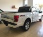 Ford F 150 Platium 2019 - Bán xe Ford F 150 Platium đời 2019, màu trắng, nhập khẩu