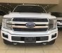 Ford F 150 Platium 2019 - Bán xe Ford F 150 Platium đời 2019, màu trắng, nhập khẩu