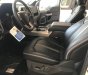 Ford F 150 Platium 2019 - Bán xe Ford F 150 Platium đời 2019, màu trắng, nhập khẩu