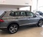 Volkswagen Tiguan All Space 2018 - Bán Volkswagen Tiguan All Space năm sản xuất 2018, màu xám, xe nhập