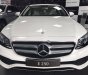 Mercedes-Benz E class E250 2018 - Cần bán Mercedes E250 sản xuất năm 2018, màu trắng